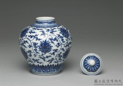 图片[3]-Lidded jar with chrysanthemum decoration in underglaze blue, Qing dynasty, Yongzheng reign (1723-1735)-China Archive